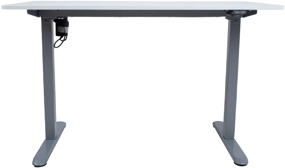Home4You Desk ERGO LIGHT with 1 motor 120x60xH73-118cm, baltas/sidabrinis pilkas