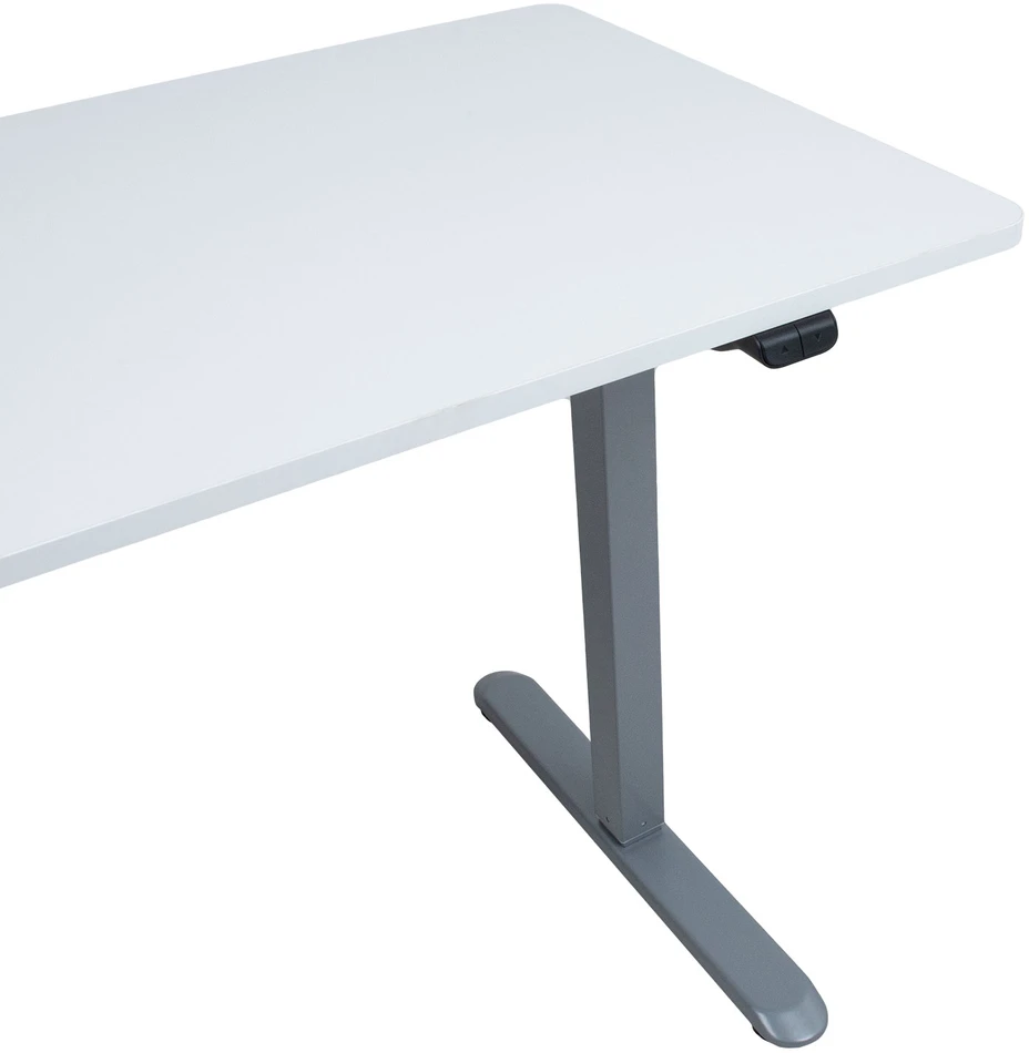 Home4You Desk ERGO LIGHT with 1 motor 120x60xH73-118cm, baltas/sidabrinis pilkas
