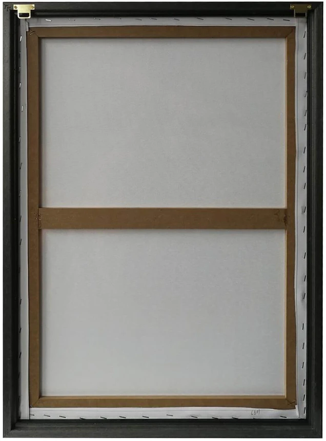 Home4You Sienų meno kūrinys WALLY 50x70cm, liūtas