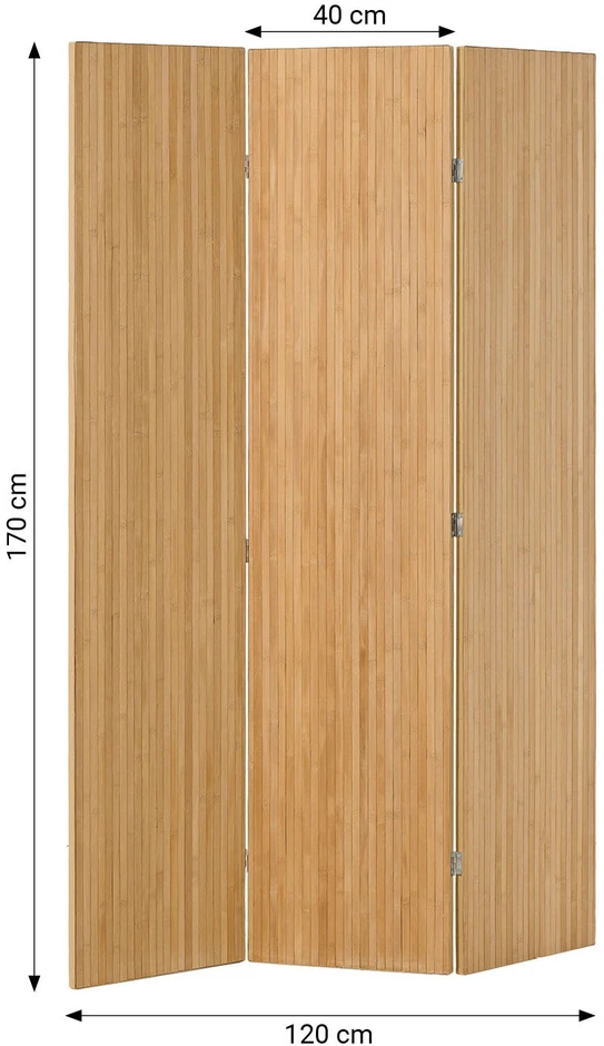Homestyle4U Kambario pertvara, 120x2x170 cm, Natūrali