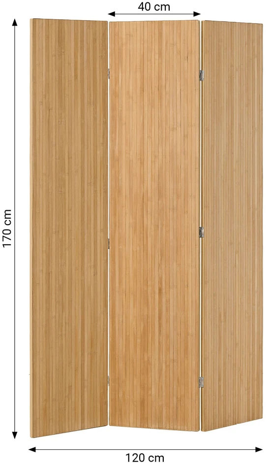 Homestyle4U Kambario pertvara, 120x2x170 cm, Natūrali