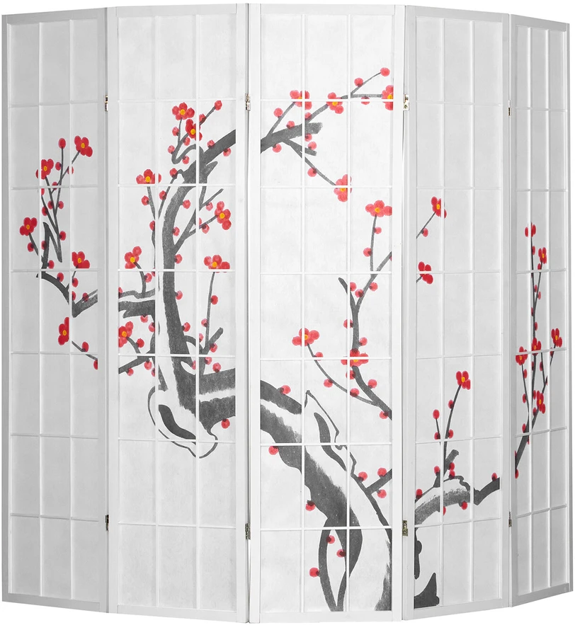Homestyle4U Kambario pertvara, 220x2.2x179 cm, balta