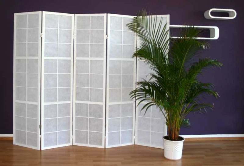Homestyle4U Kambario pertvara, Shoji 5 dalių sulankstoma, 220x2.2x175 cm, balta