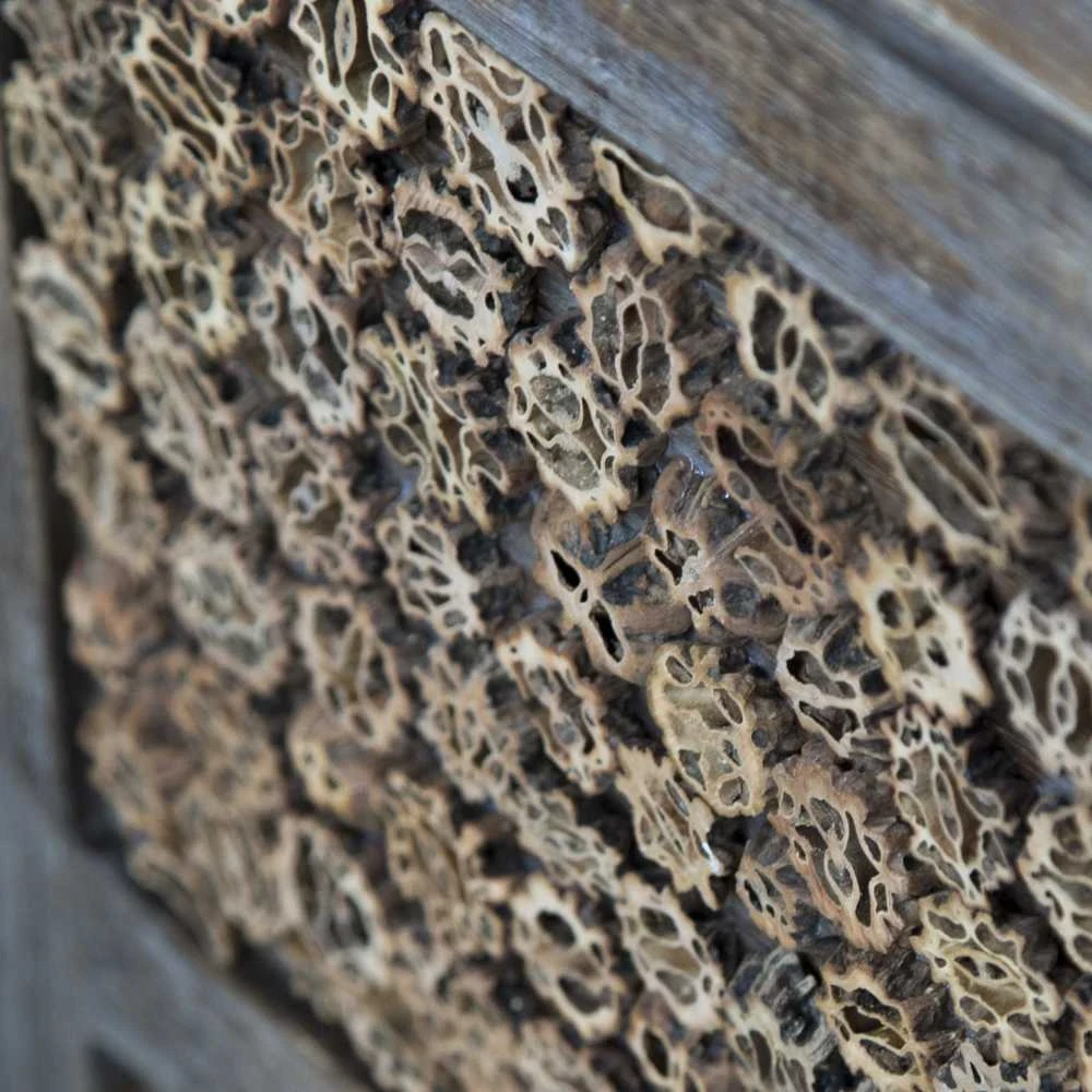 Homestyle4U Kambario pertvara, 120x2x170 cm, ruda