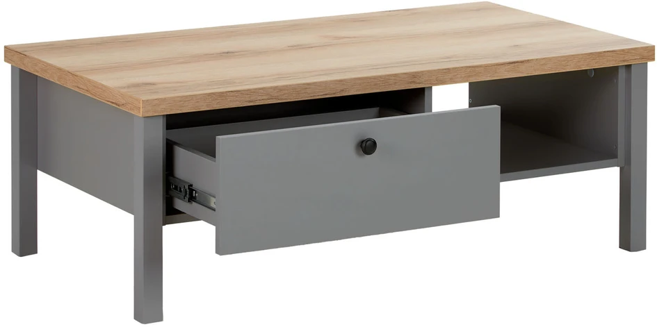 Homestyle4U Kavos staliukas, 110x40,5x60 cm, pilka