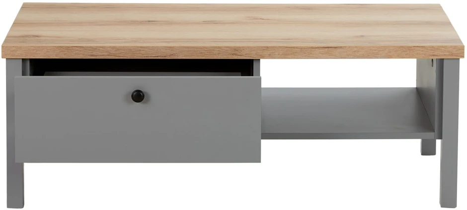 Homestyle4U Kavos staliukas, 110x40,5x60 cm, pilka