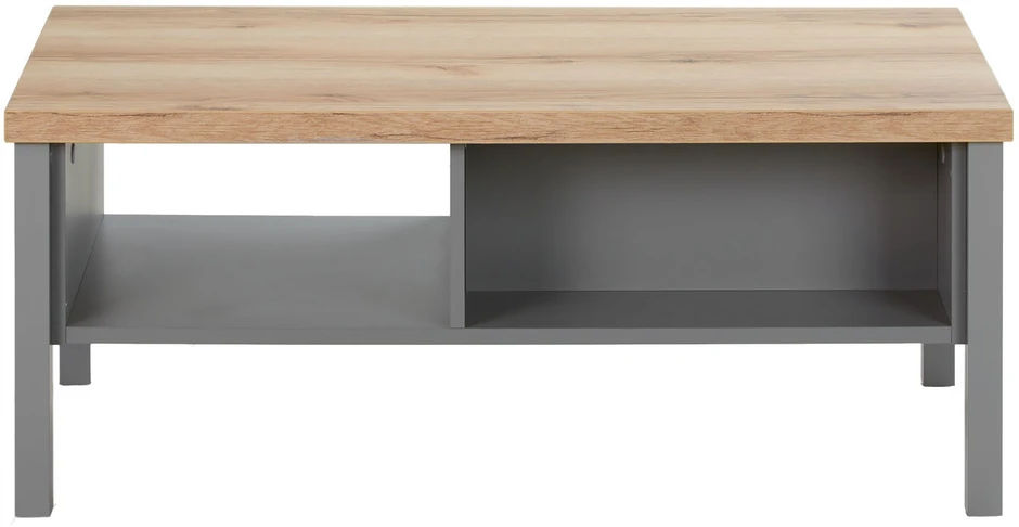 Homestyle4U Kavos staliukas, 110x40,5x60 cm, pilka