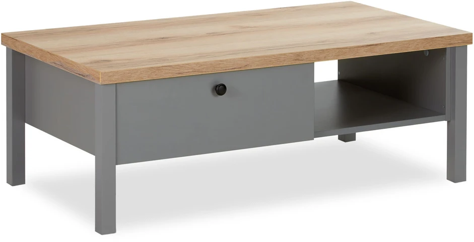 Homestyle4U Kavos staliukas, 110x40,5x60 cm, pilka