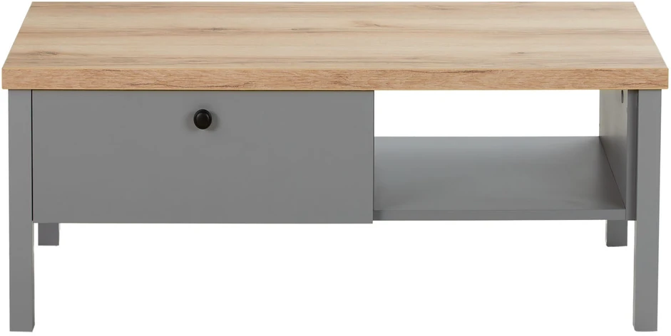 Homestyle4U Kavos staliukas, 110x40,5x60 cm, pilka