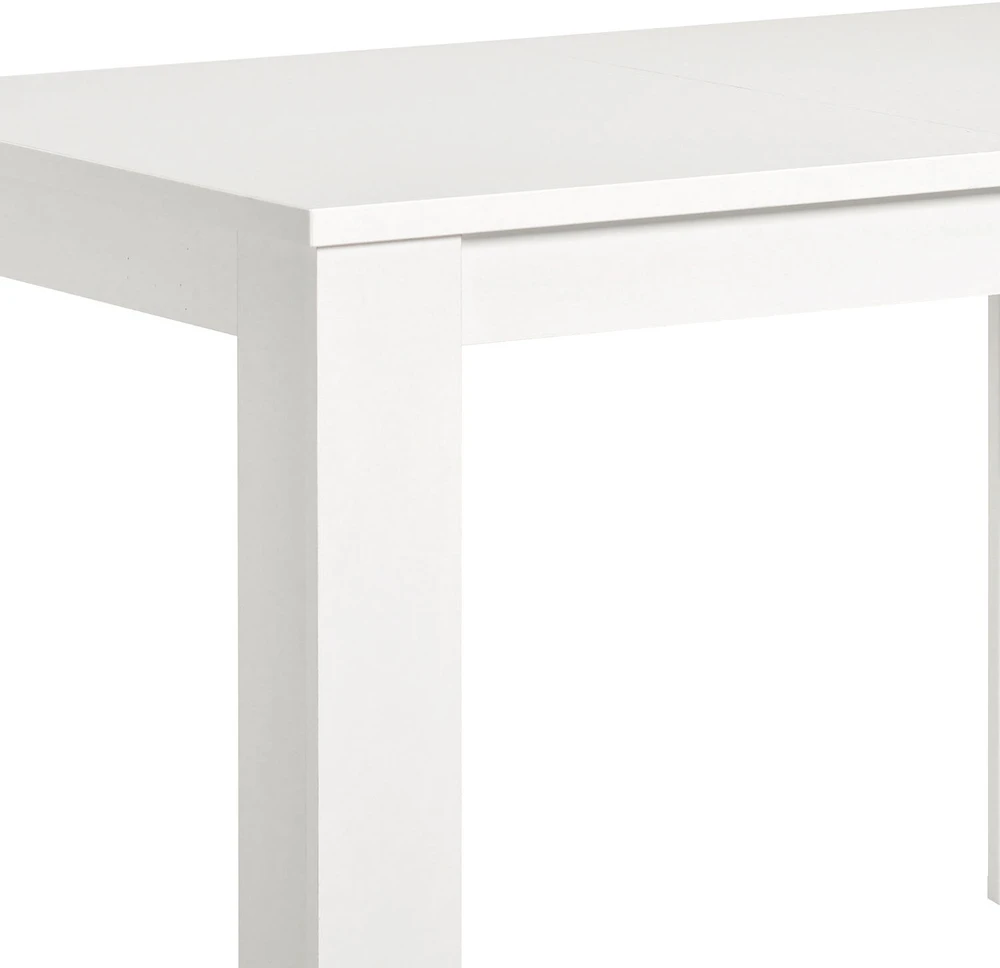 Homestyle4U Valgomasis stalas, 120x80x75 cm, balta