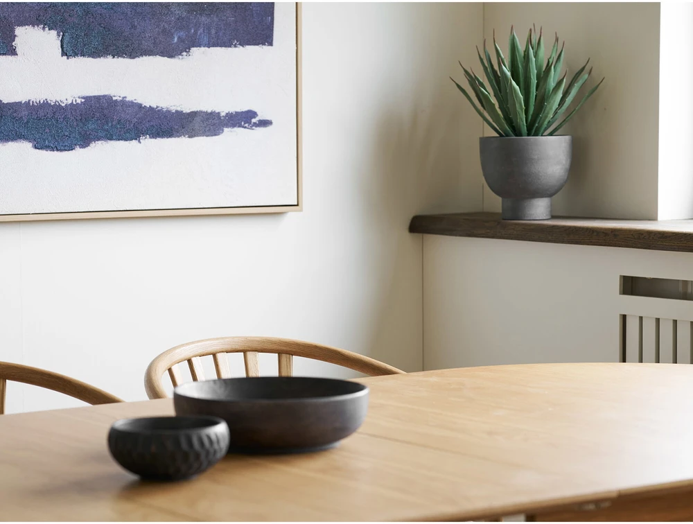 House Nordic Agavos augalas