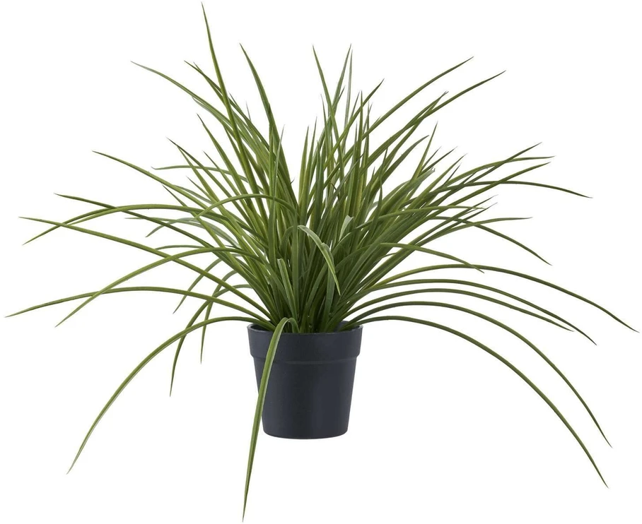 House Nordic Dirbtinė augalija, Žolė, A: 45 cm, Žalia
