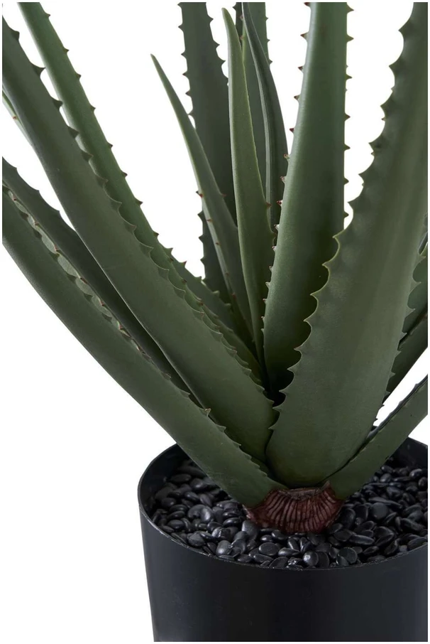 House Nordic Dirbtinis augalas, Aloe Vera, A: 51 cm, Žalias