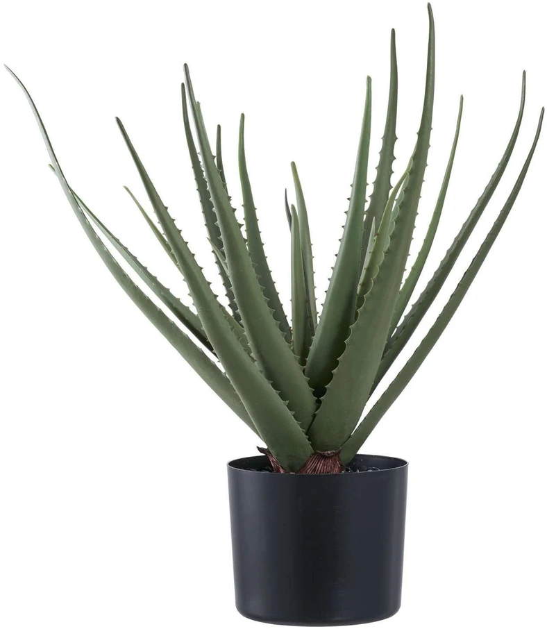 House Nordic Dirbtinis augalas, Aloe Vera, A: 51 cm, Žalias