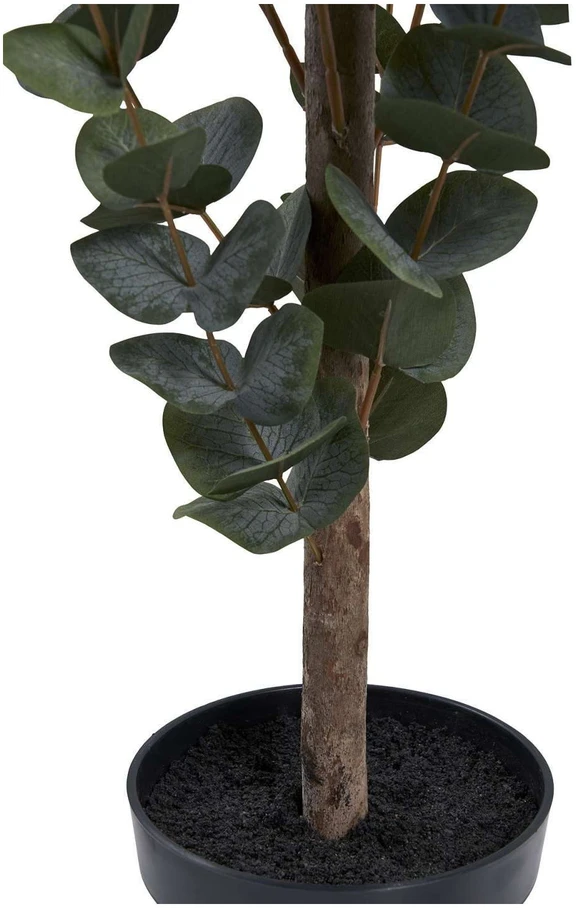 House Nordic Augalas, Eucalyptus, žalia