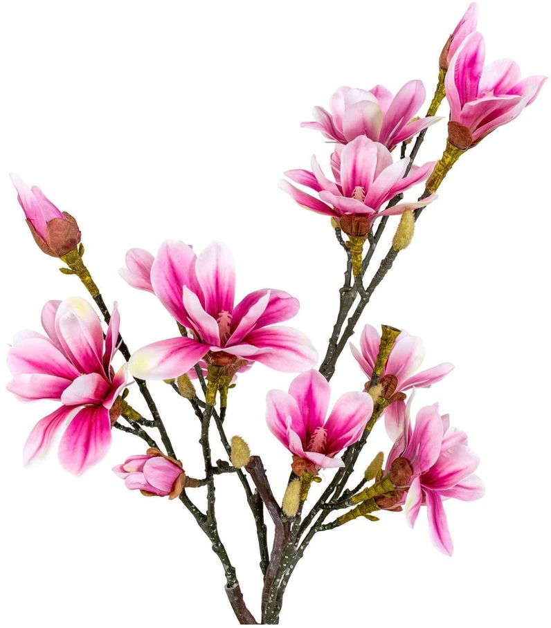 House Nordic Dirbtinis augalas, Magnolijos medis, A:74 cm, Rosa