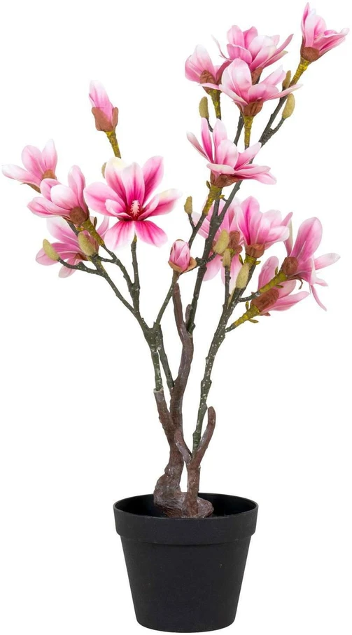 House Nordic Dirbtinis augalas, Magnolijos medis, A:74 cm, Rosa