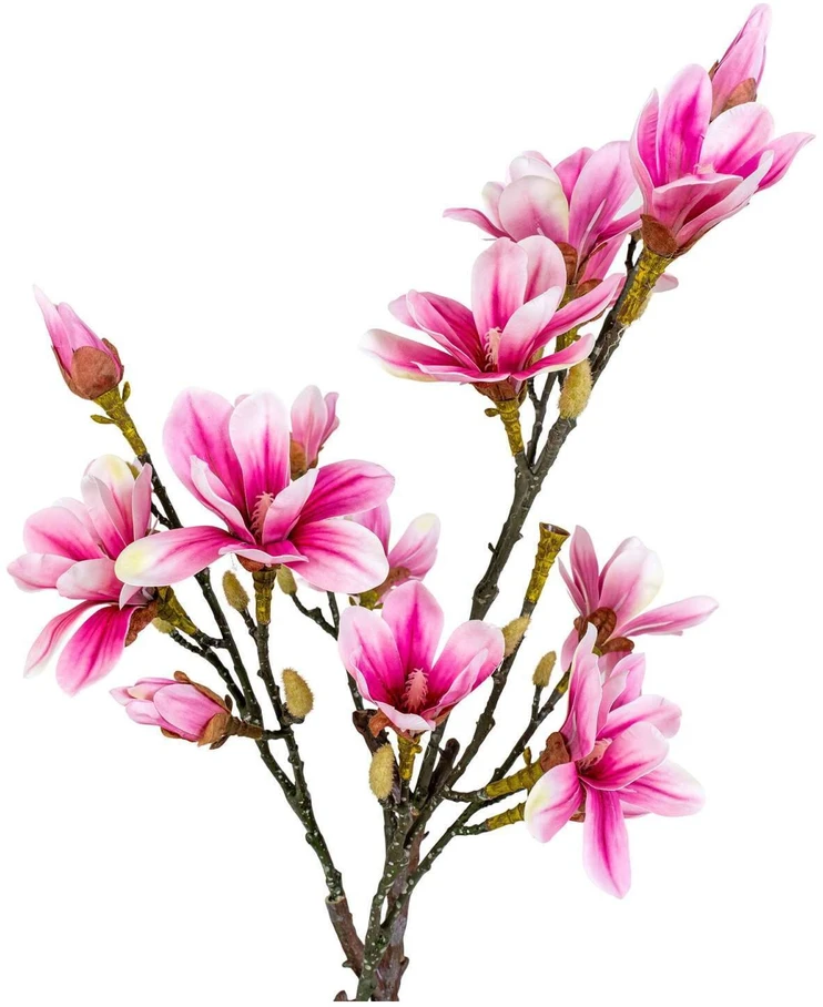 House Nordic Dirbtinis augalas, Magnolijos medis, A:74 cm, Rosa