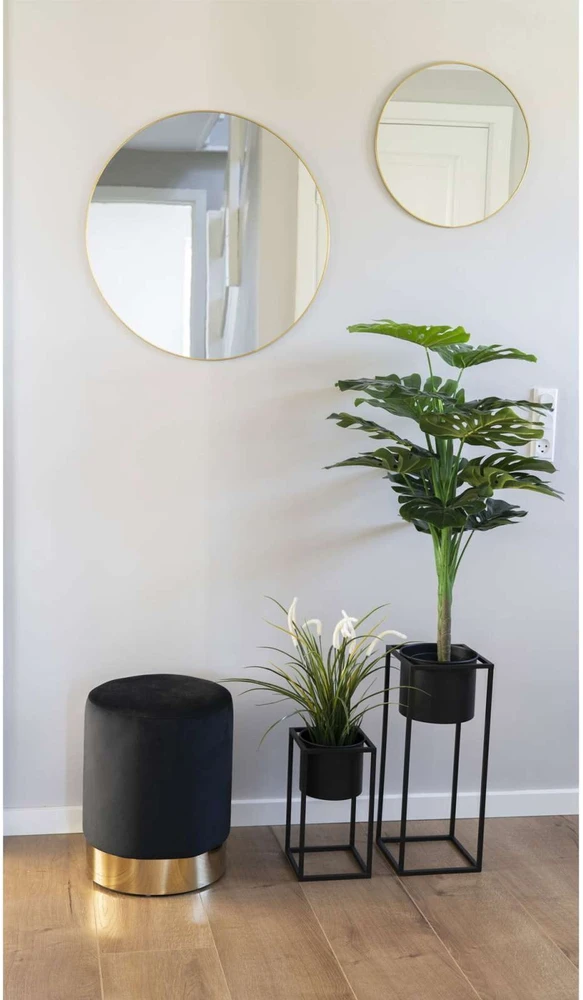 House Nordic Augalas, Monstera, žalia spalvos