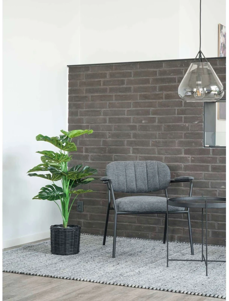 House Nordic Augalas, Monstera, žalia spalvos