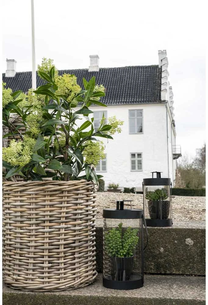 House Nordic Dirbtinis augalas, Skimija medis, 75 cm, Žalias.