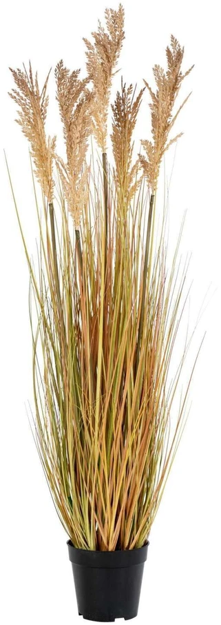 House Nordic Dirbtinis augalas, Sorghumo žolė, A:110 cm, Žalia