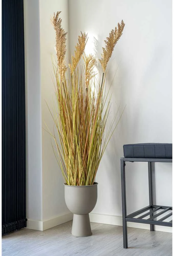 House Nordic Dirbtinis augalas, Sorghumo žolė, A:110 cm, Žalia