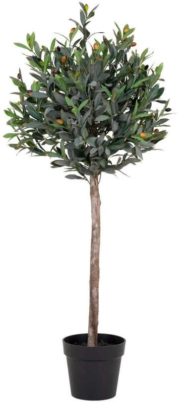 House Nordic Augalas, Olive, žalia spalvos