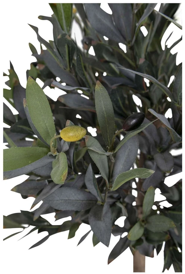 House Nordic Augalas, Olive, žalia spalvos