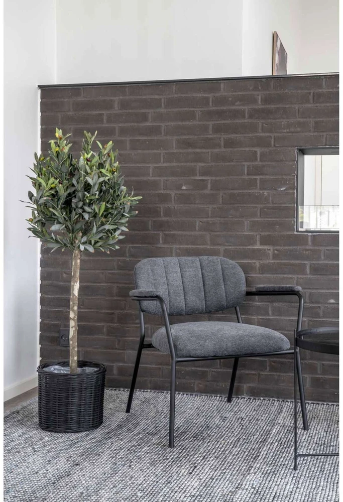 House Nordic Augalas, Olive, žalia spalvos