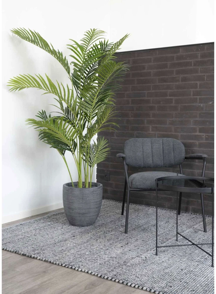 House Nordic Dirbtinis palmės medis, Areka, Aukštis: 175 cm, Žalias