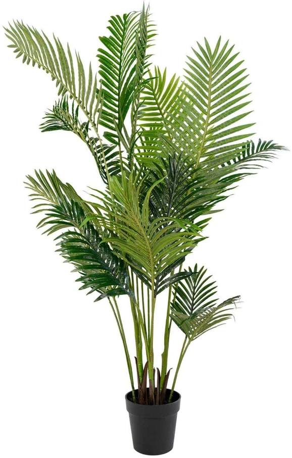 House Nordic Dirbtinis palmės medis, Areka, Aukštis: 175 cm, Žalias