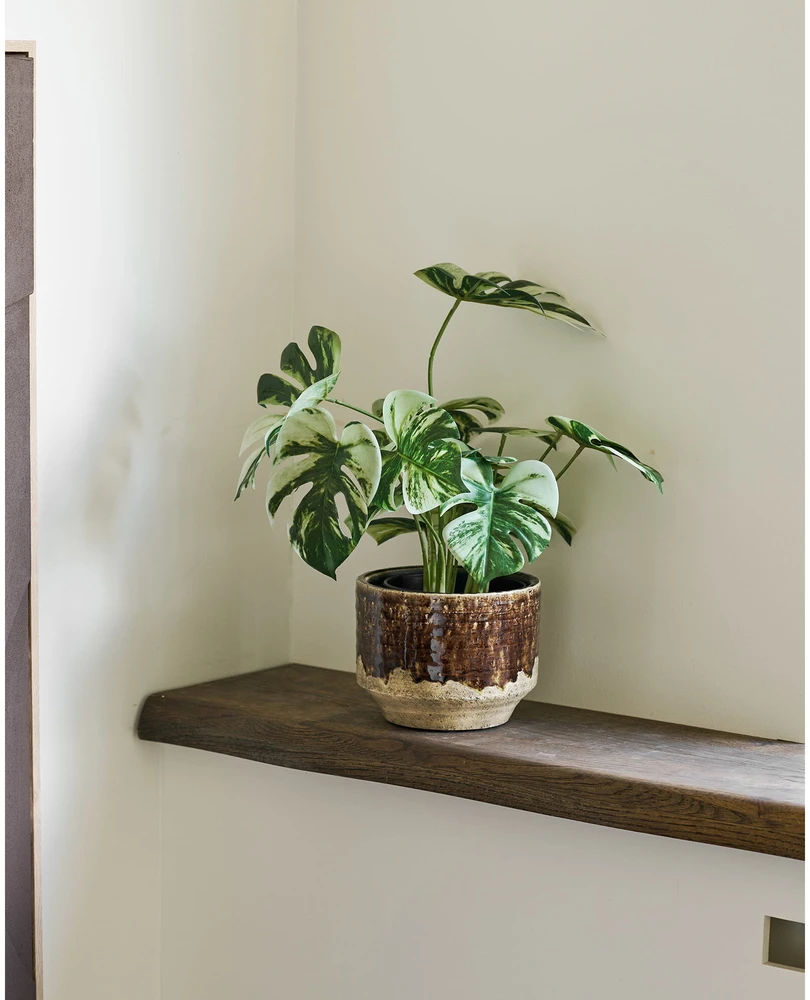 House Nordic Monstera