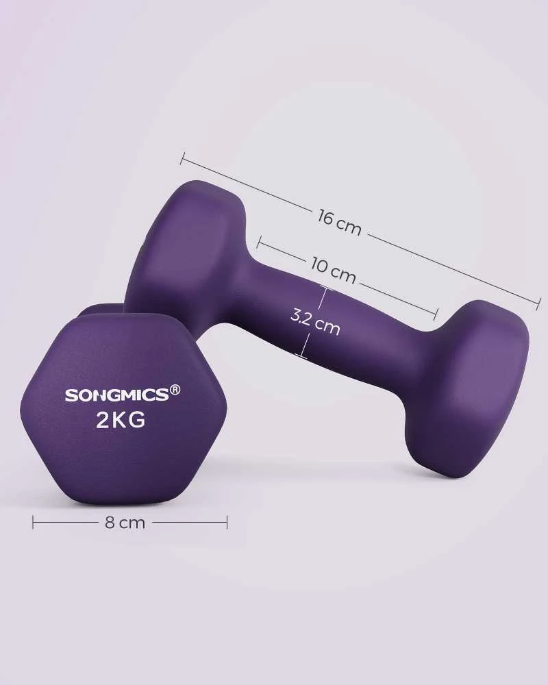 Songmics Hantelių rinkinys 2 x 2kg violetinės spalvos