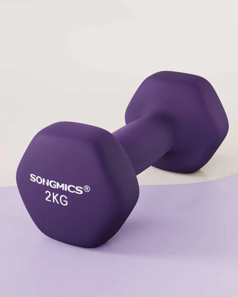 Songmics Hantelių rinkinys 2 x 2kg violetinės spalvos