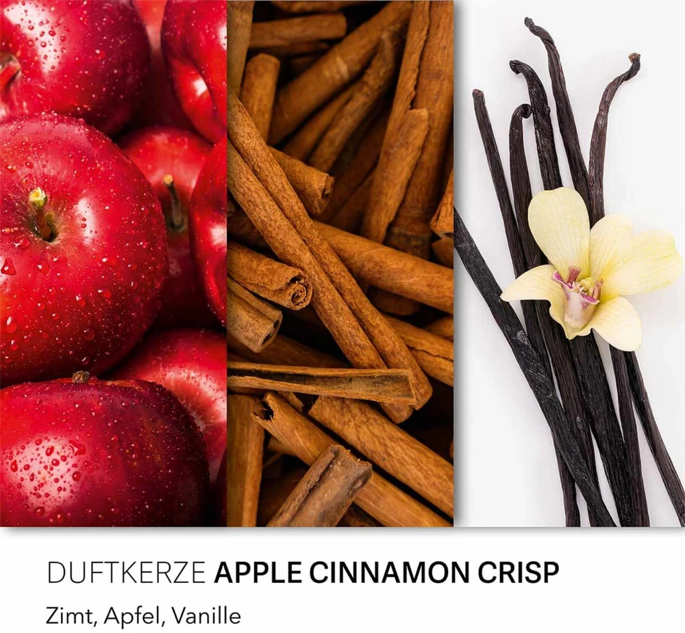 Candle Brothers Duftkerze Apple Cinnamon Crisp - 510g