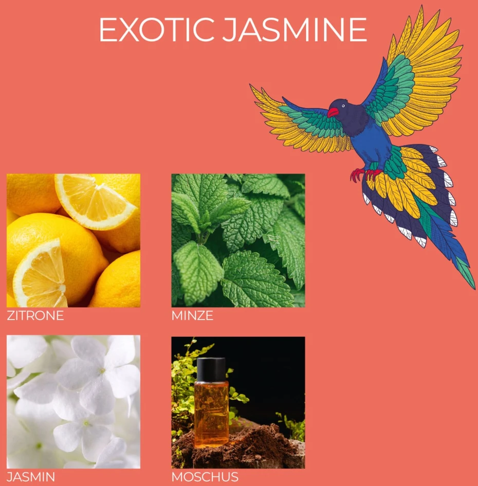 Selsey Frida Kahlo kvapioji žvakė - Beautiful Life Exotic Jasmine Rinkinys 3 vnt.