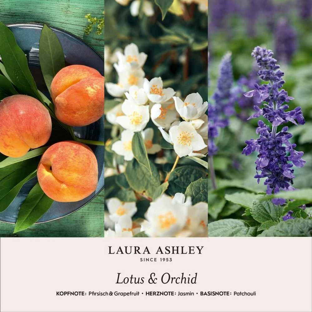 Kvapų kortelė, Laura Ashley, 3x10x14 cm, pilka, keramika
