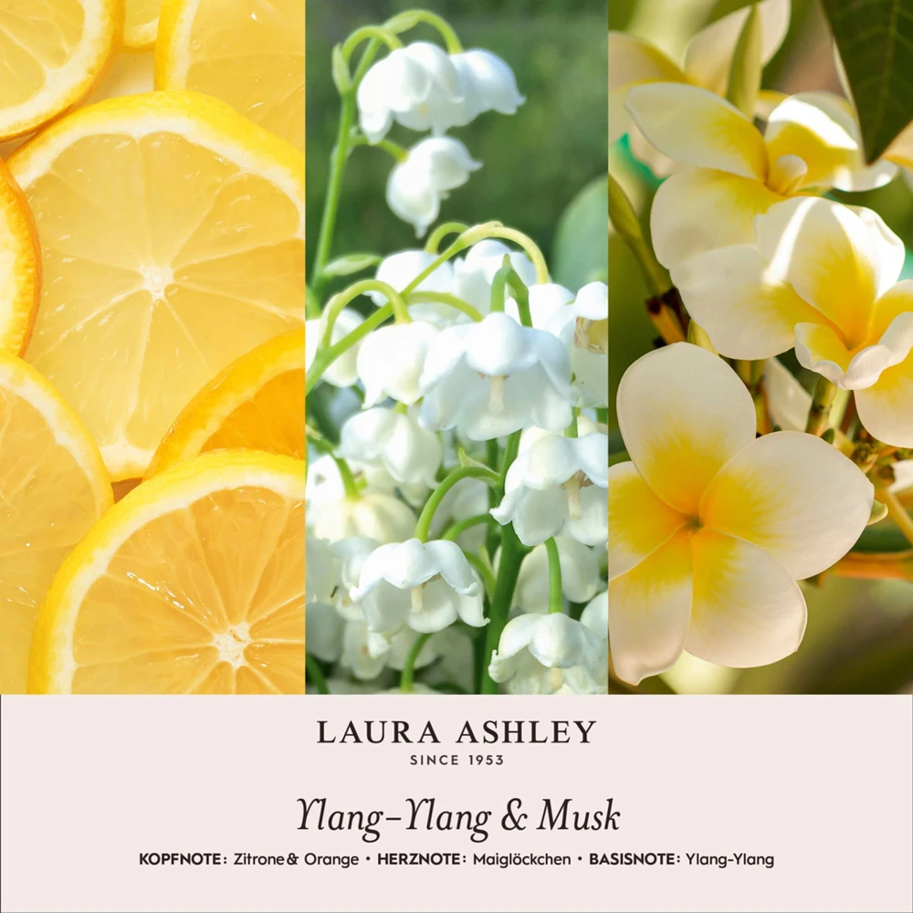 Laura Ashley Kvapnių aliejų dovanų rinkinys, 3x10 ml, balta