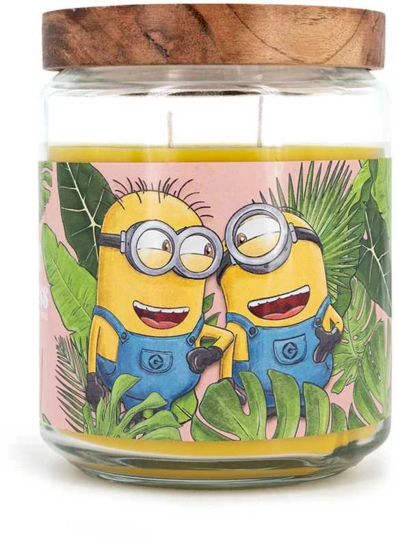 Minions kvapioji žvakė „Sklaidanti laimė“ 510 g