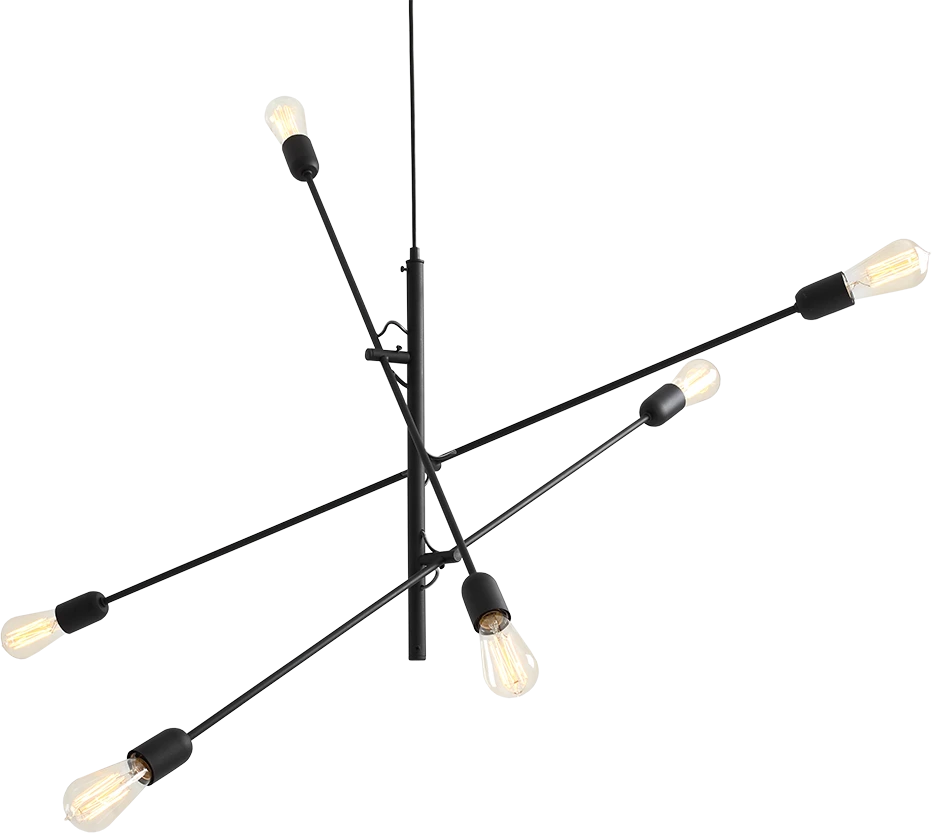 Pakabinamas šviestuvas Customform Lempos, TWIGO 6, 901001.1x0.5 m, Juoda
