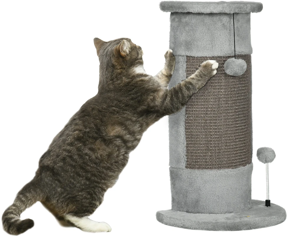 PawHut kampinis draskyklė stulpas, 58 cm Sizalio draskyklė, kačių draskyklė, maža kačių draskyklė su draskymo kamuoliuku, baldai katėms vidaus patalpoms, pilka