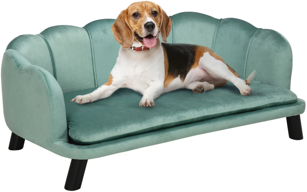 PawHut šunų sofa su atlošu ir medinėmis kojelėmis, minkštas apmušalas, naminių gyvūnų sofa, žalia, 98,5x60,5x35,5 cm