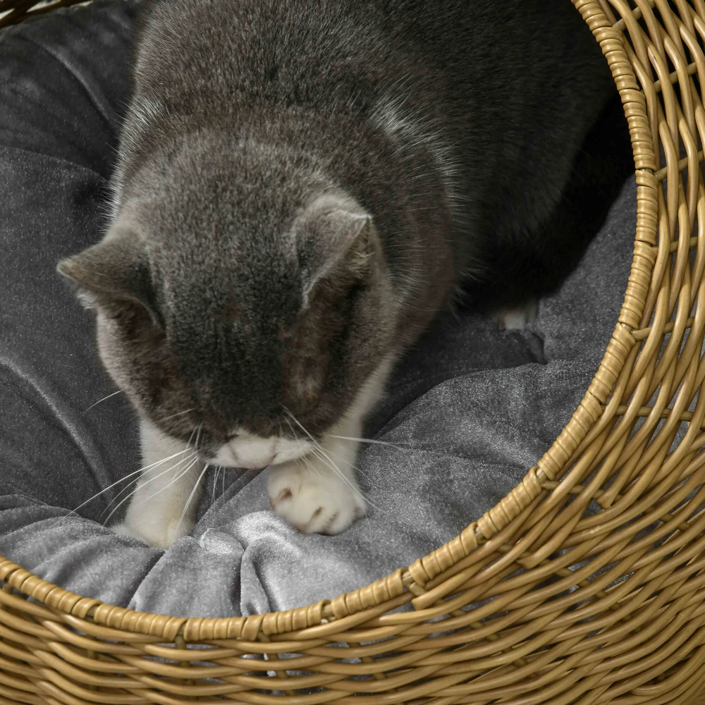PawHut rotango krepšys namelis katėms su pagalvėle, skirtas katėms iki 4kg, augintinių guolis, namelis katėms, vidaus naudojimui, PE rotangas, Ø50 x 31 cm, šviesiai rudas