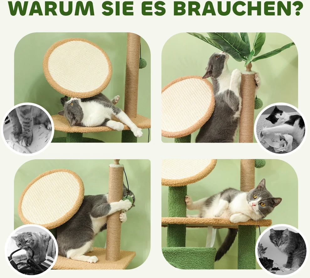 PawHut draskyklė 139 cm katėms su nameliu, žaisliniu kamuoliuku, sizalio draskymo stulpais, katėms iki 5kg, žalia