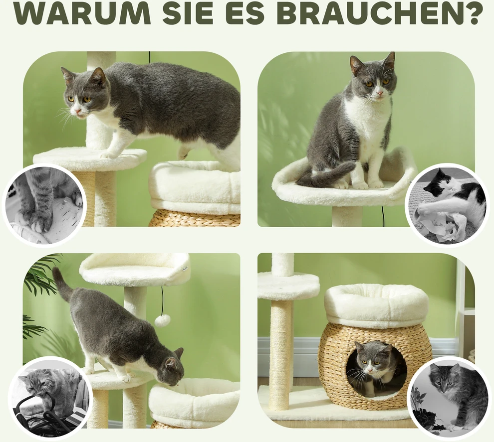 PawHut 79 cm draskyklė-namelis, su landyne, lovomis ir žaisliniais kamuoliukais, sizalio kolonėlės, katėms iki 5kg, kreminės spalvos