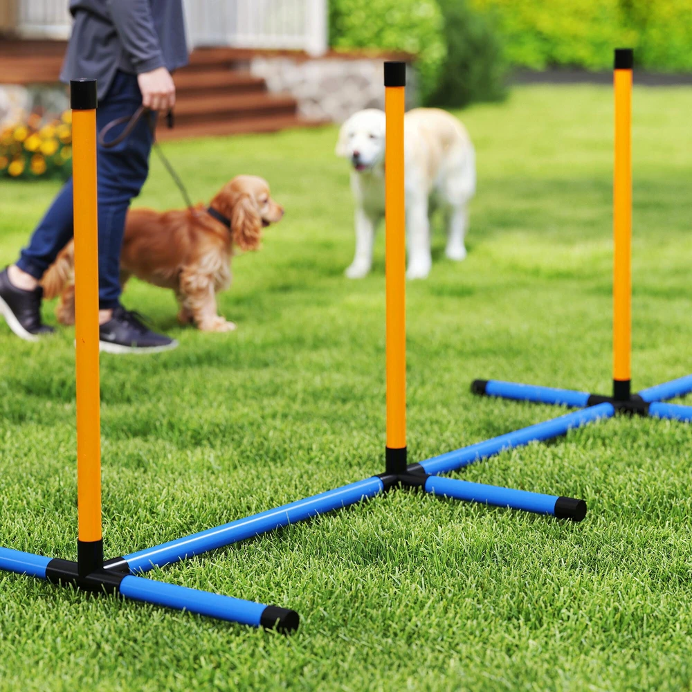 PawHut 9 dalių šunų vikrumo (agility) rinkinys, dresavimo įranga su barjerais, slalomo stulpeliais, šuolių lanku ir 2 kamuoliukais, reguliuojamo aukščio, koordinacijos lavinimui