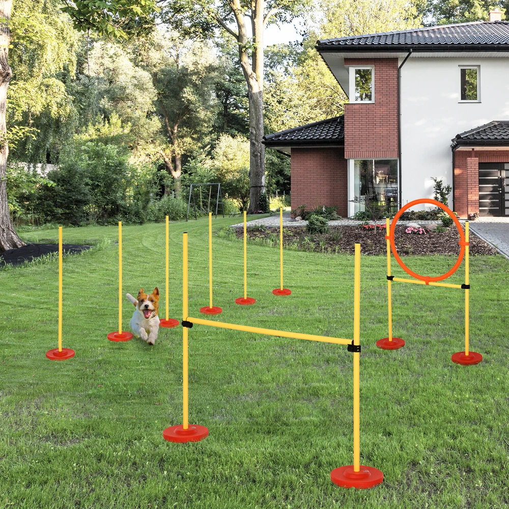 PawHut 3-in-1 šunų dresūros ir vikrumo (agility) rinkinys su kliūtimis, su krepšiu, lengvai nešiojamas, geltonas