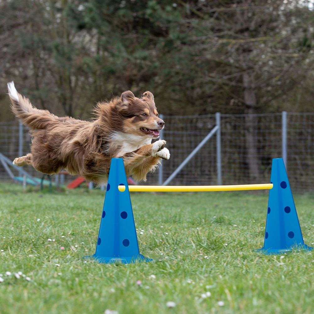 Relaxdays Agility kliūčių rinkinys, 18 dalių, mėlyna geltona