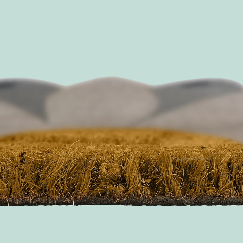 Relaxdays Durų kilimėlis, 80x50x1.5 cm